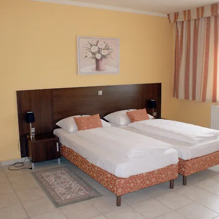 ホテル San Marco 4*